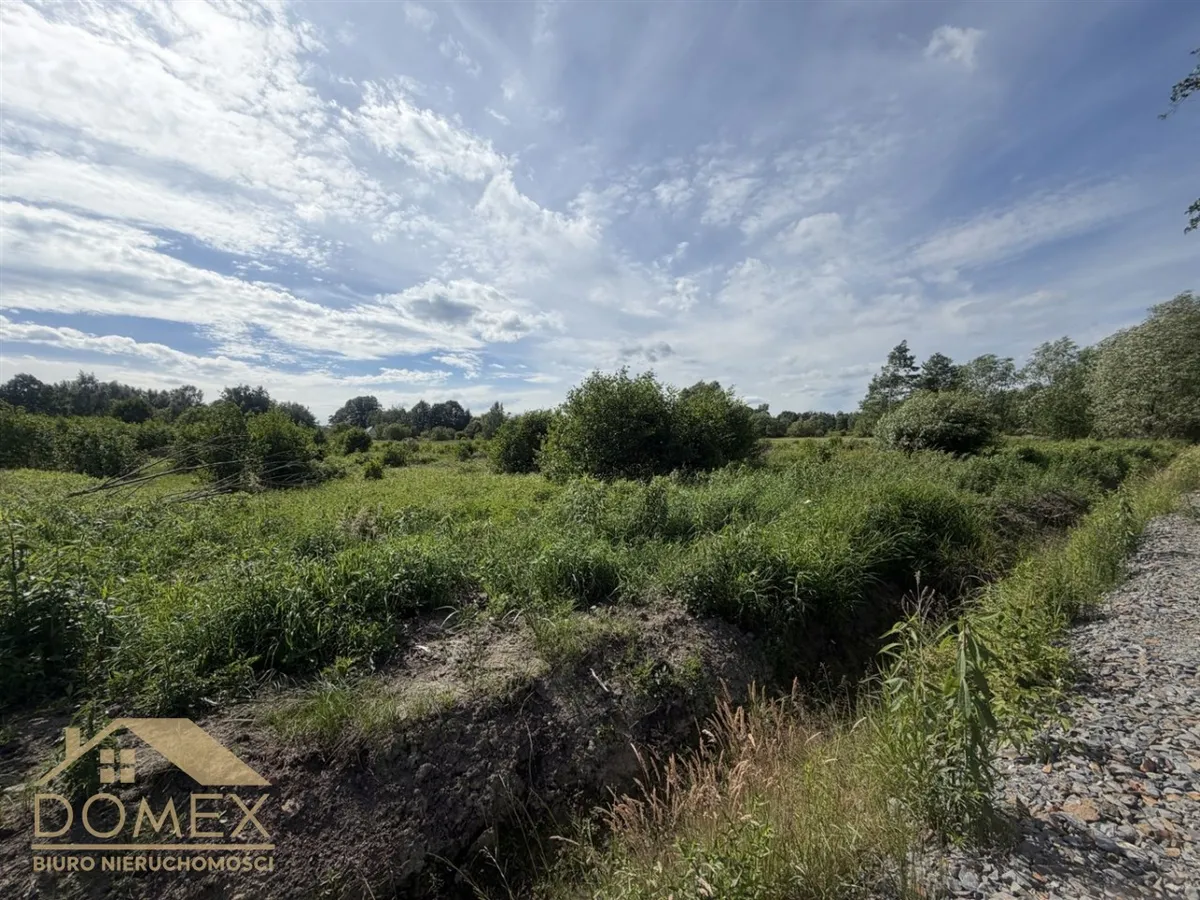 Działka 763 m² - Gorzyce, Czyżowice - zdjecie 3