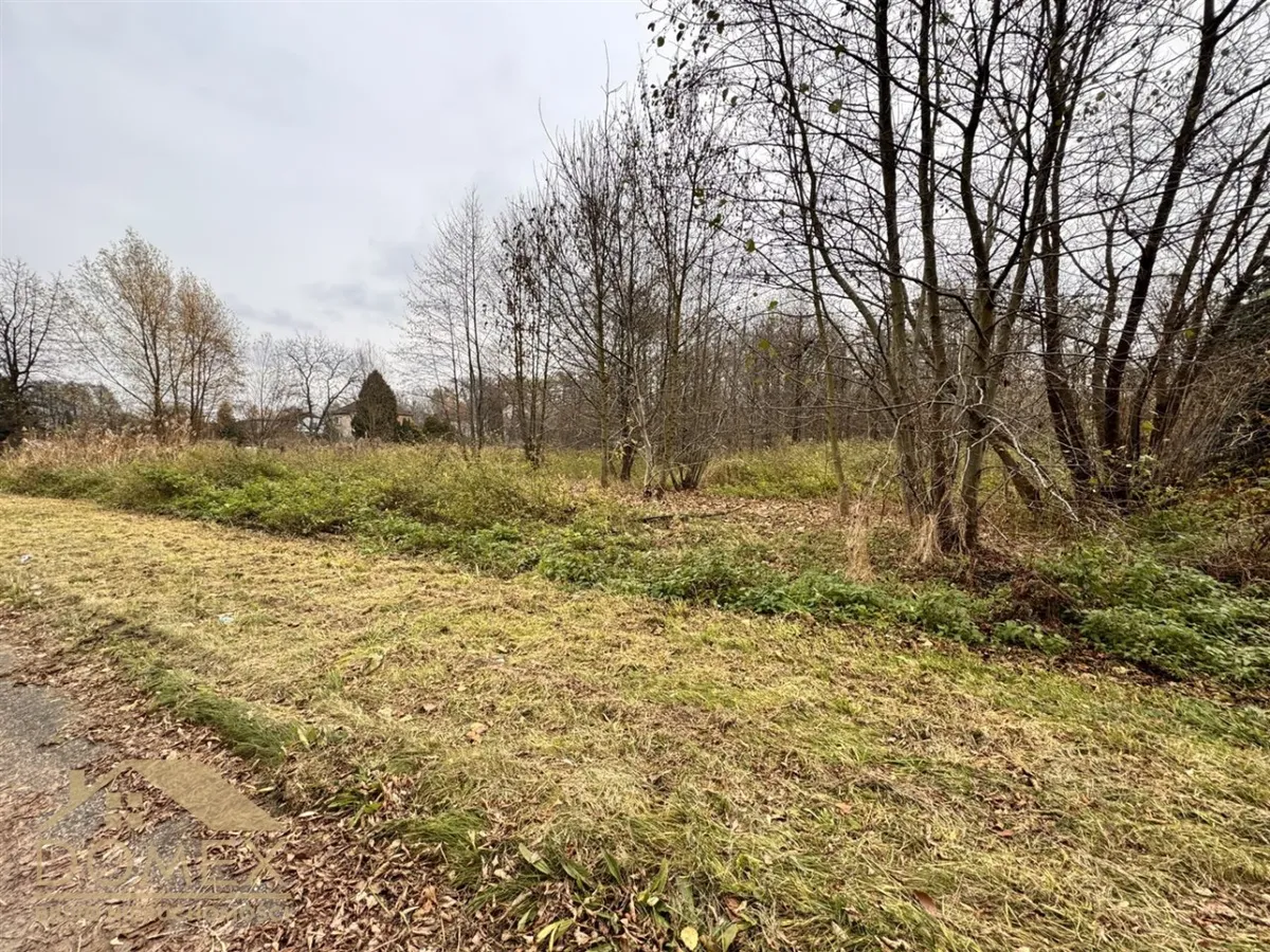 Działka 3775 m² - Wodzisław Śląski - zdjecie 2