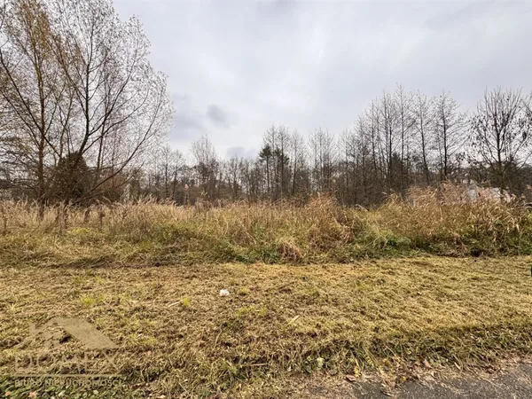 Działka 3775 m² - Wodzisław Śląski