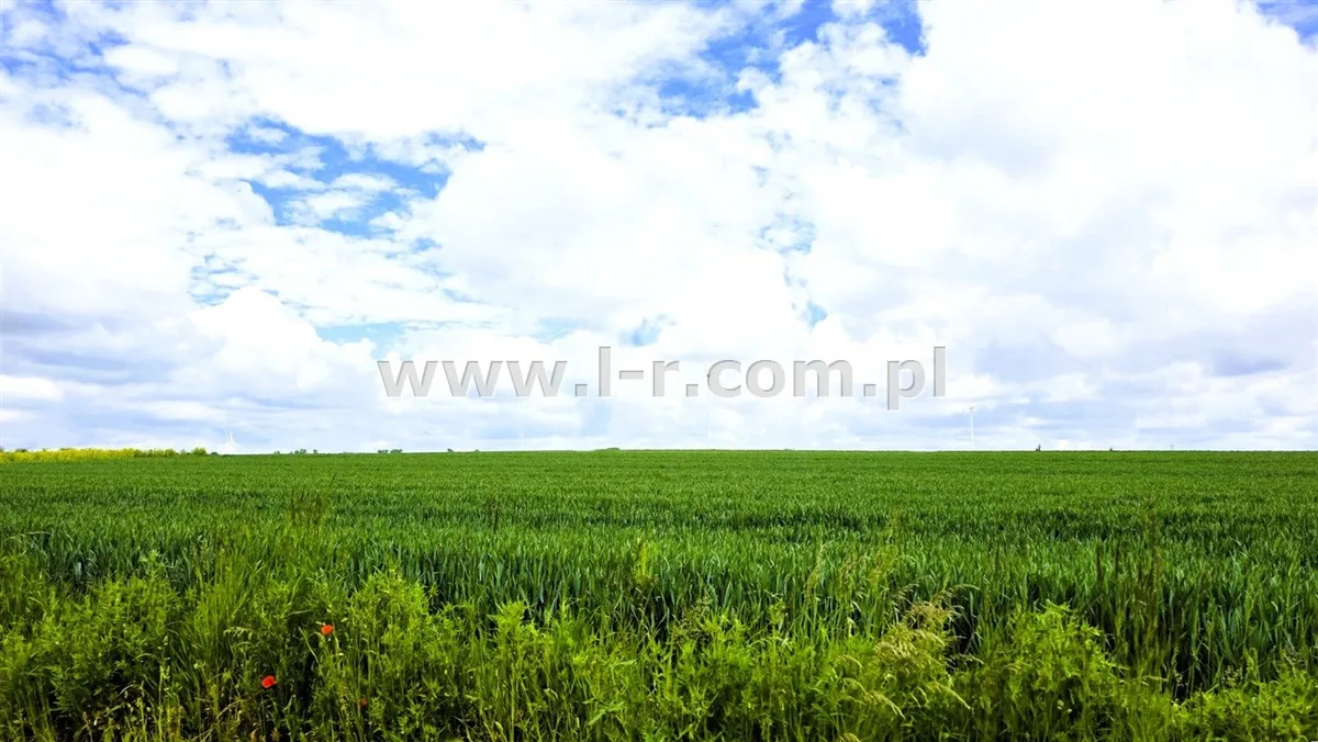 Działka 1209 m² - Pietrowice Wielkie, Cyprzanów - zdjecie 3